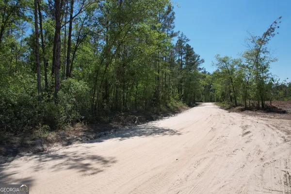 $57,999 | 0 Duncan Bridge Road, Millwood, GA 31552