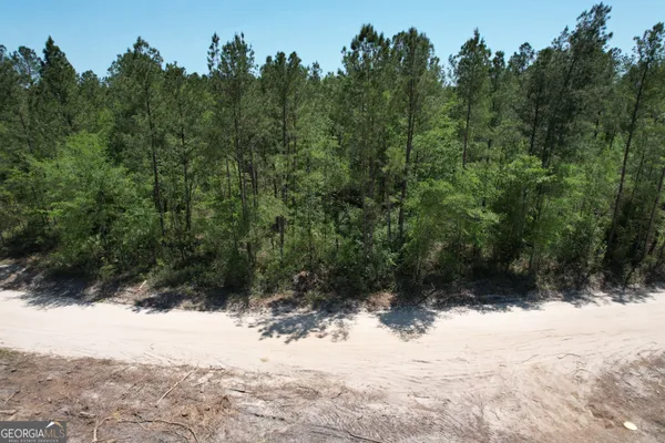 $57,999 | 0 Duncan Bridge Road, Millwood, GA 31552