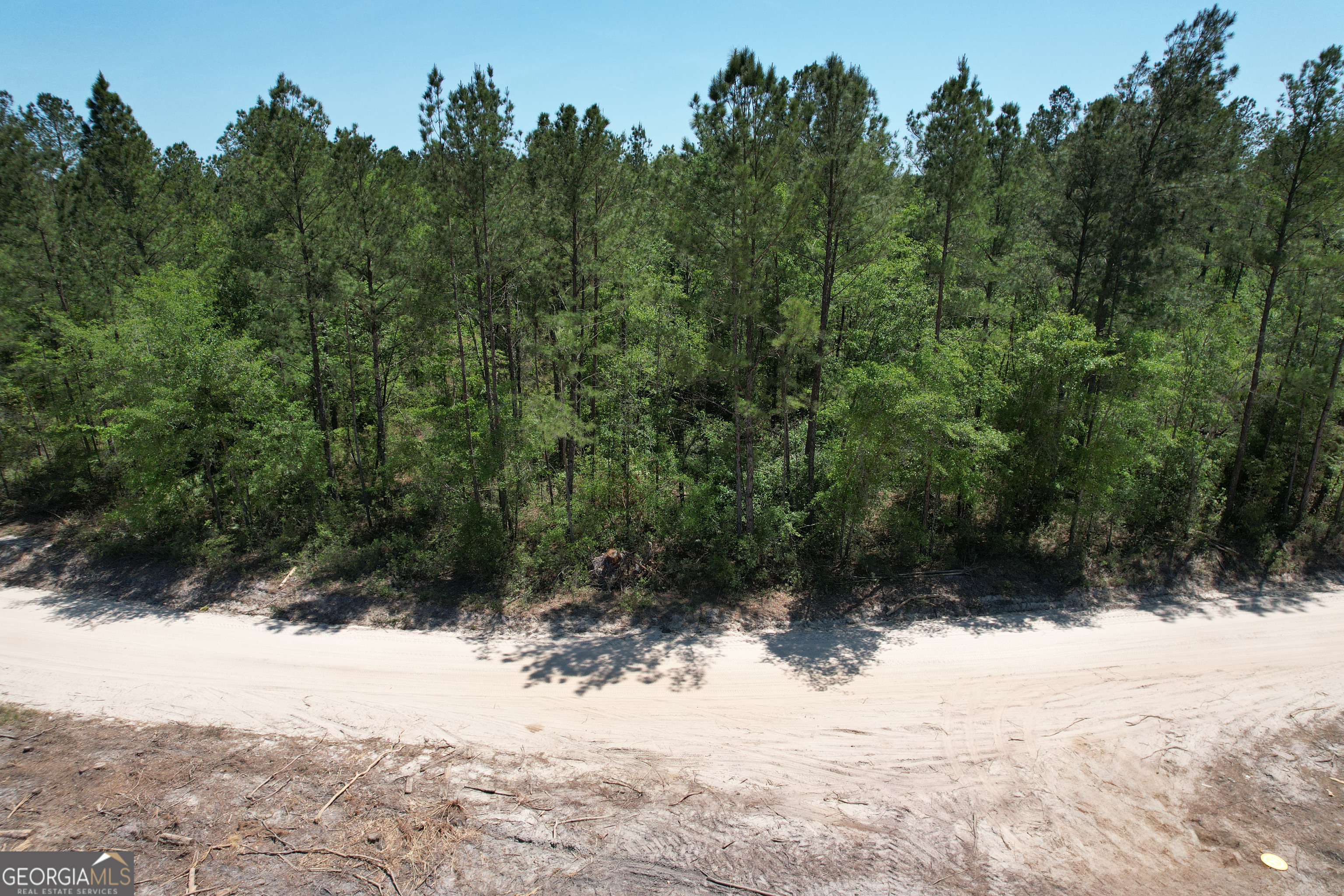 0 Duncan Bridge Road Millwood, GA 31552 - Photo 6 of 6 a view of a yard with a tree