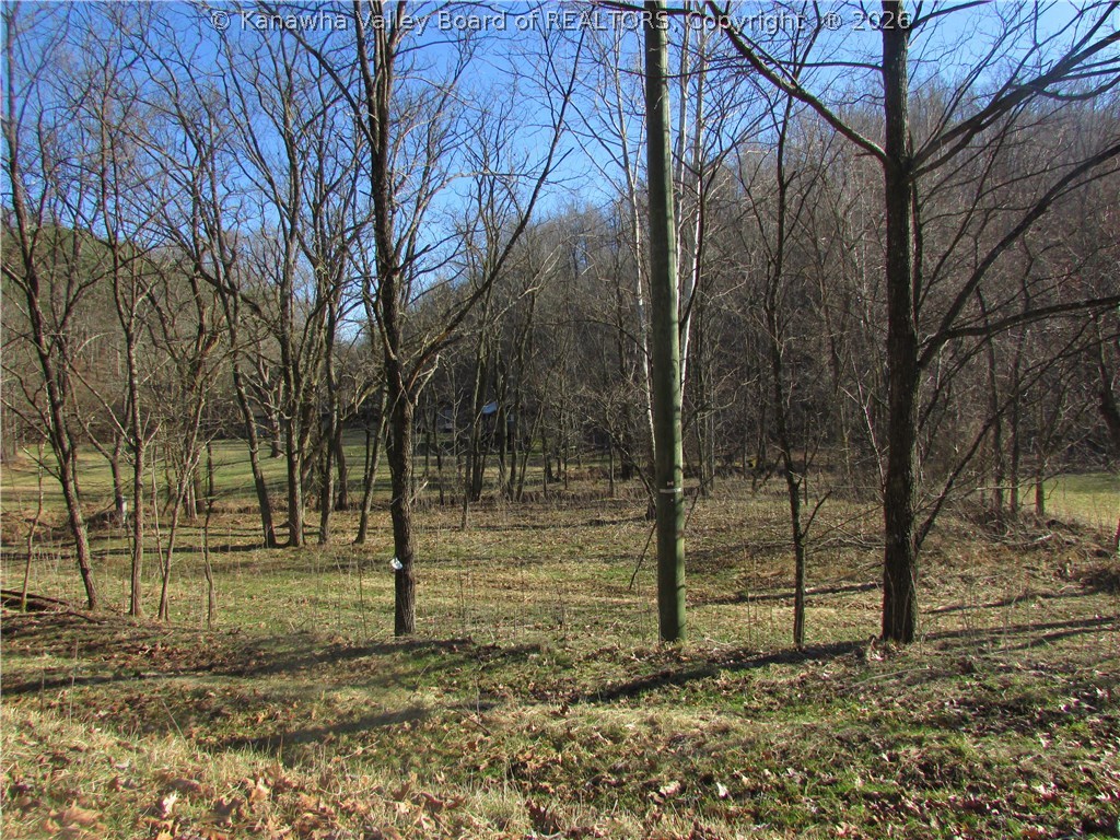 2093 Rockcastle Road Given, WV 25245 - Photo 19 of 30 Gallery Image 19
