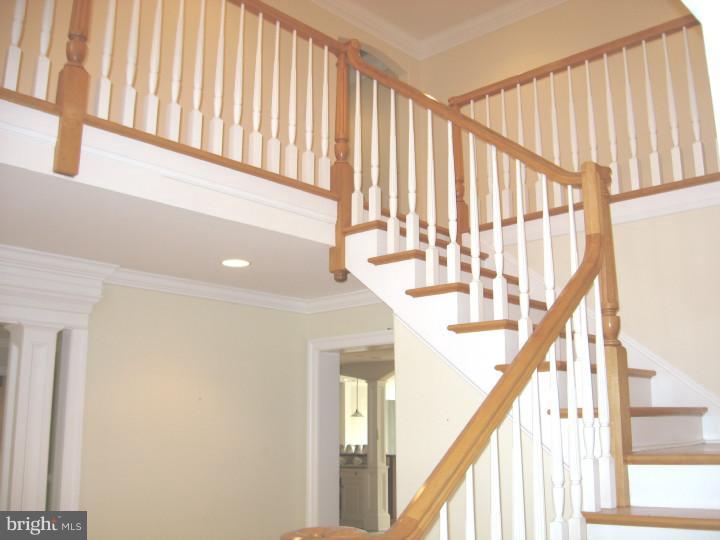 4 Martins Road Newtown Square, PA 19073 - Photo 9 of 25 Foyer