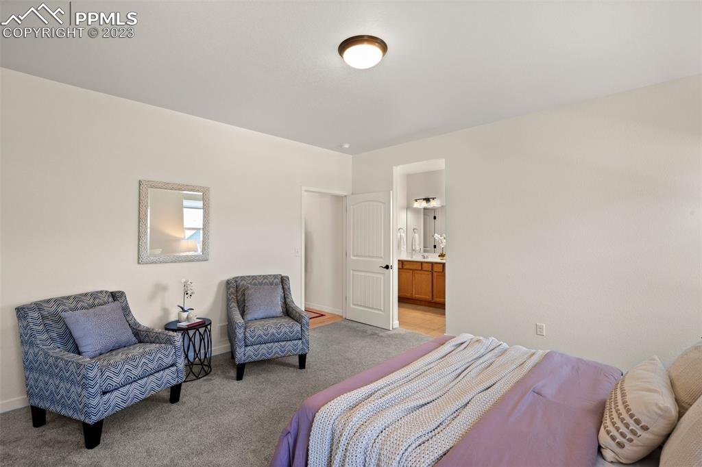 11969 Alydar Loop Colorado Springs, CO 80921 - Photo 15 of 44 a bedroom with a bed and a couch