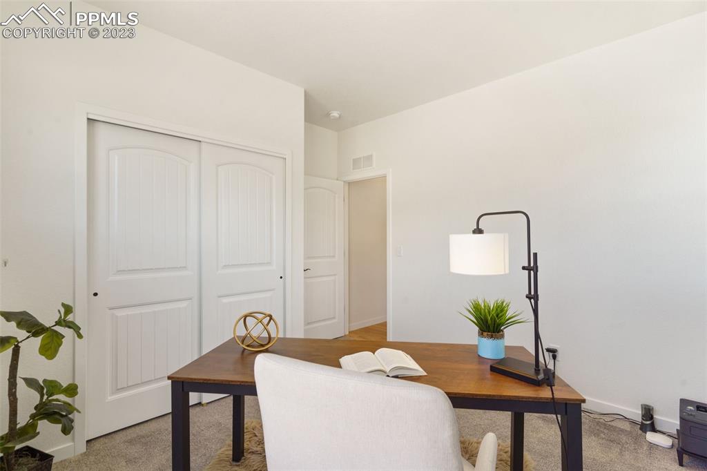 11969 Alydar Loop Colorado Springs, CO 80921 - Photo 18 of 44 a living room with furniture and a potted plant