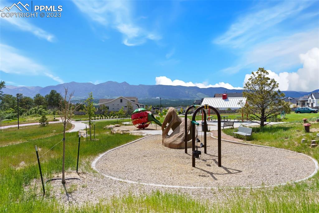11969 Alydar Loop Colorado Springs, CO 80921 - Photo 40 of 44 a view of a garden with a slide