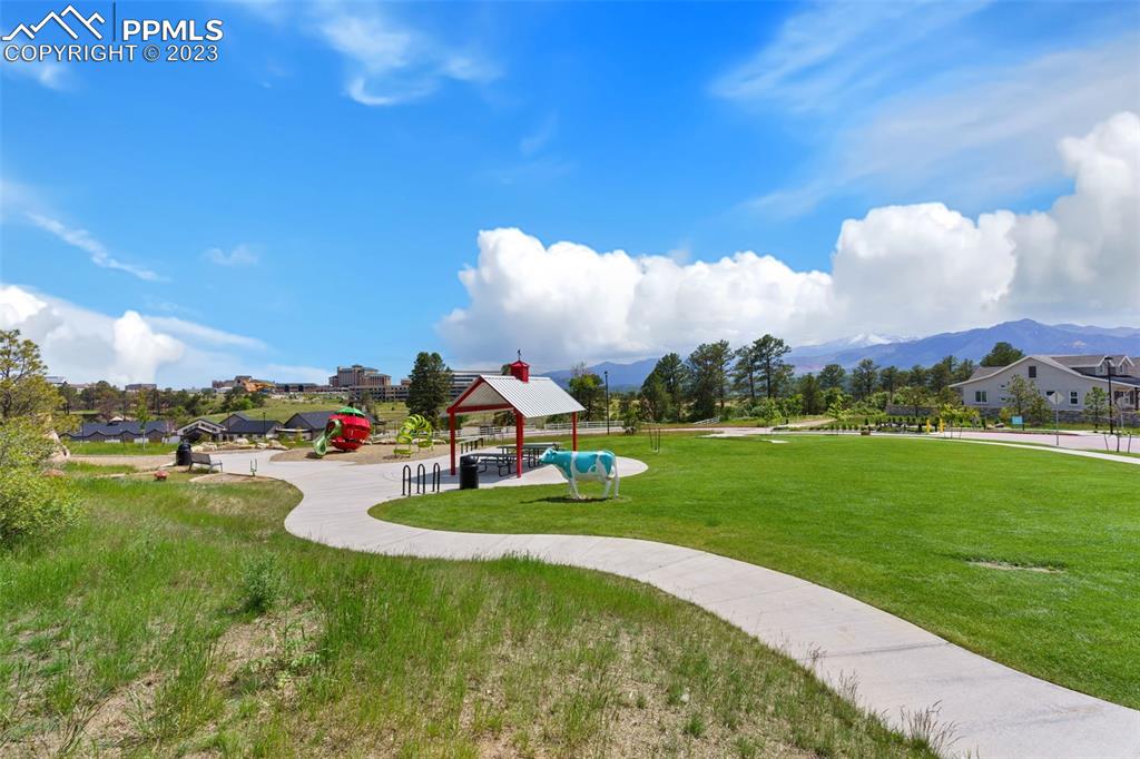11969 Alydar Loop Colorado Springs, CO 80921 - Photo 41 of 44 a view of a park