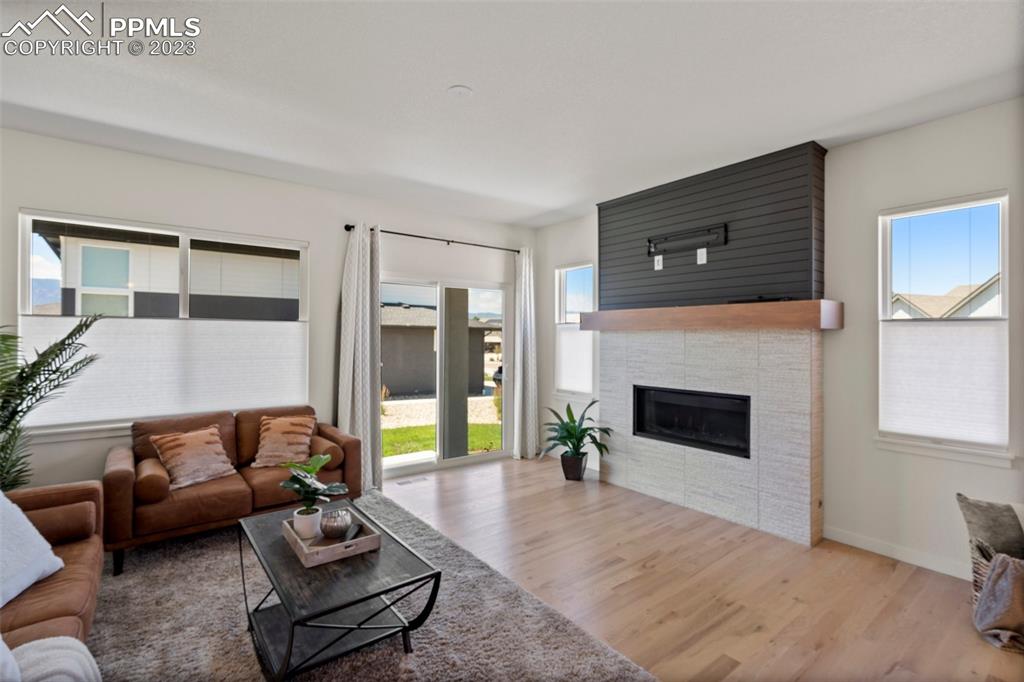 11969 Alydar Loop Colorado Springs, CO 80921 - Photo 7 of 44 a living room with furniture and a fireplace