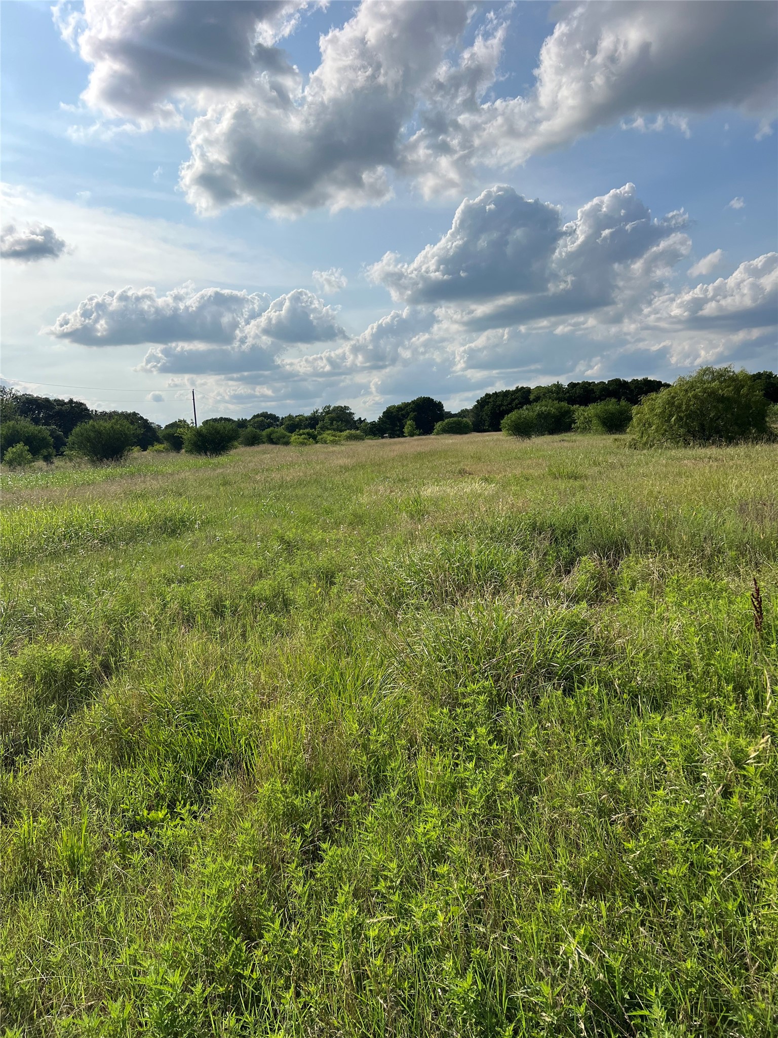 329 Hatterman Road La Grange, TX 78945 - Photo 1 of 1 View of local wilderness featuring rural landscape
