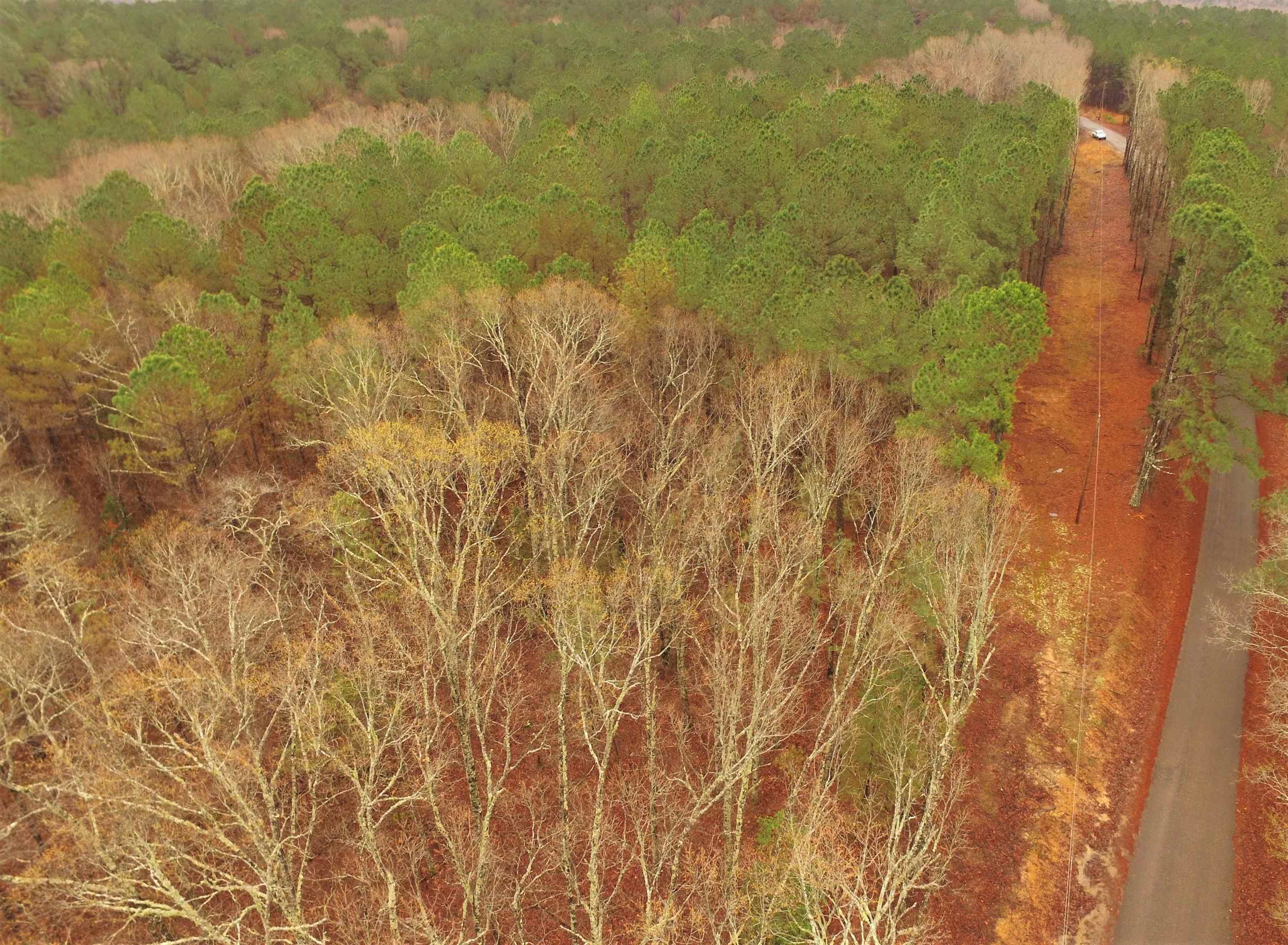 10 Acres Road Finger, TN 38334 - Photo 8 of 13