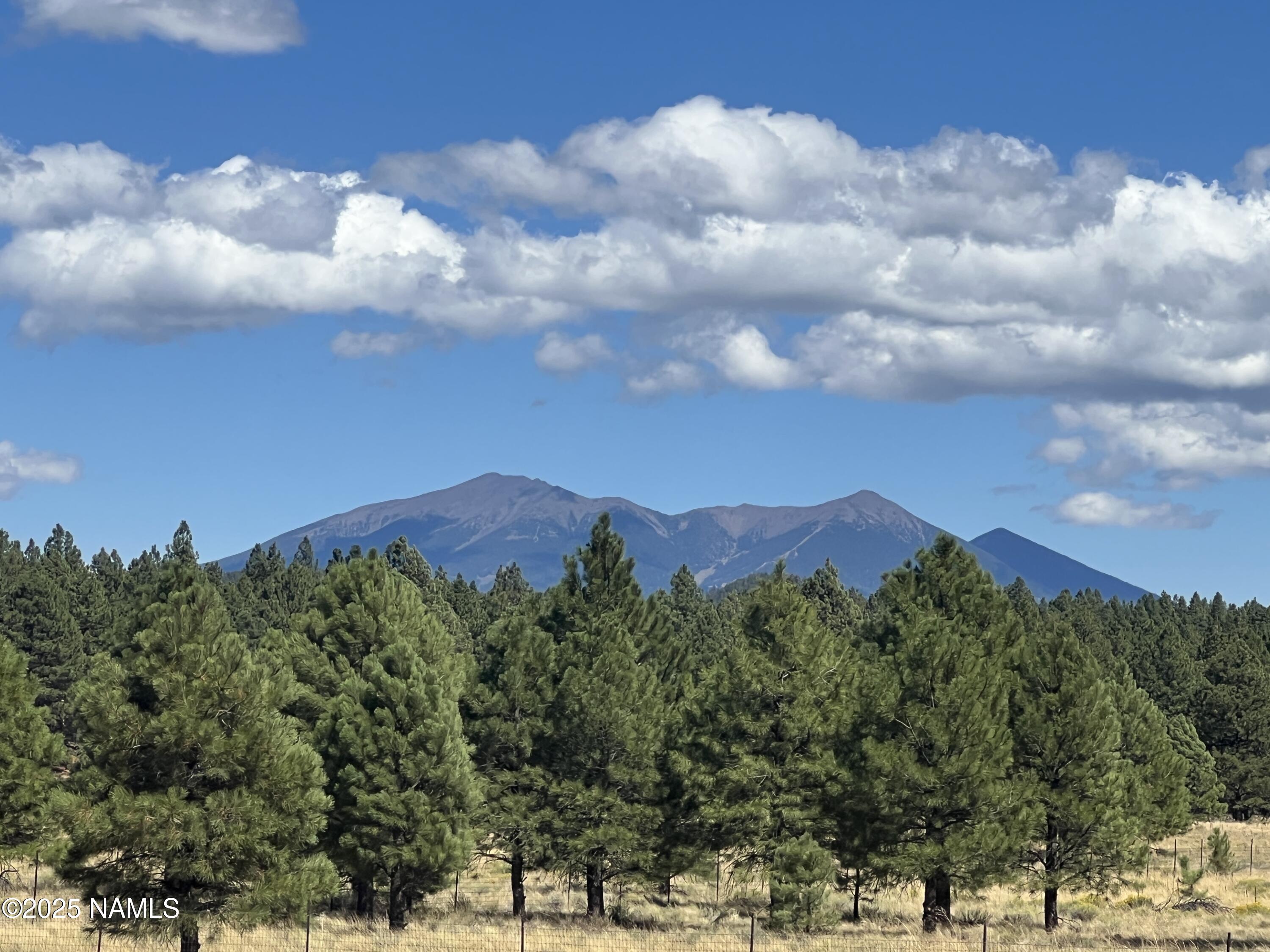 665 Dust Devil Drive Parks, AZ 86005 - Photo 2 of 44 a view of a lot of trees in a field