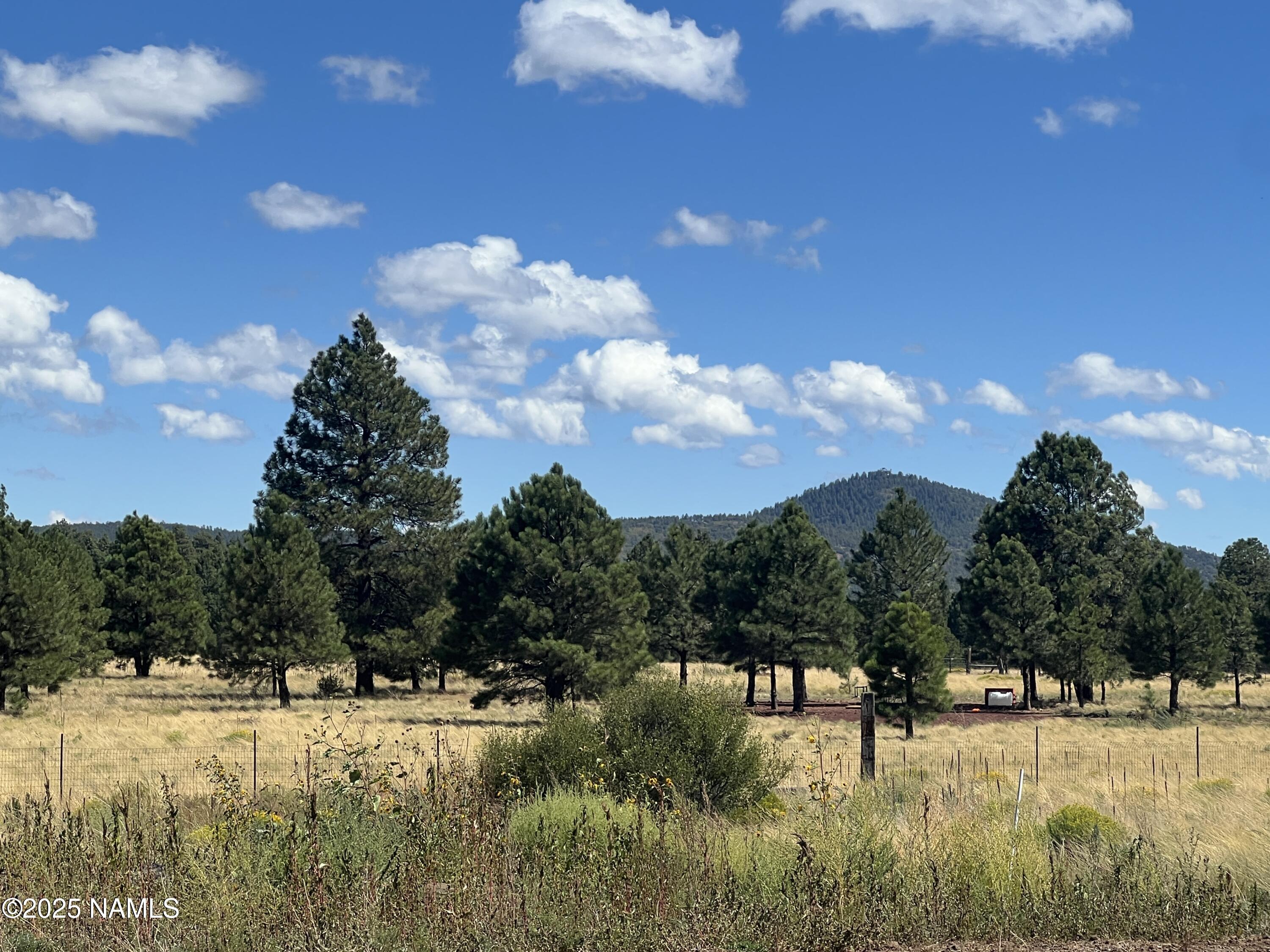665 Dust Devil Drive Parks, AZ 86005 - Photo 32 of 44 a view of a yard with trees in the background