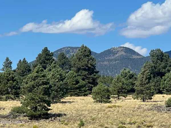 a view of a lake with houses in the background