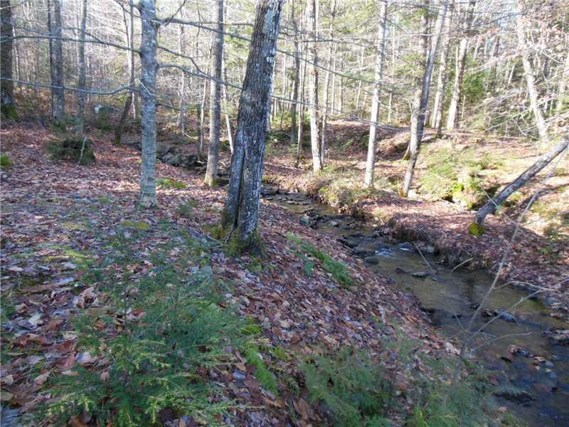 70 Mitchell Road Sangerville, ME 04479 - Photo 2 of 16 Waterfront/Dock/Pier.