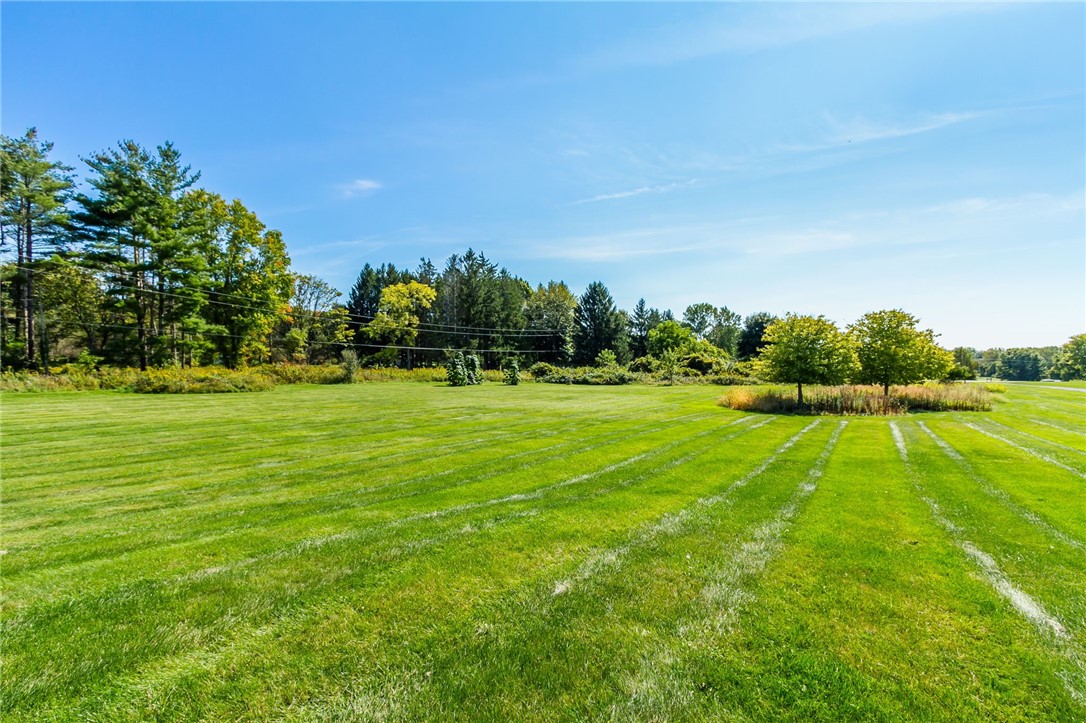 299 Cheese Factory Road Mendon, NY 14472 - Photo 50 of 50