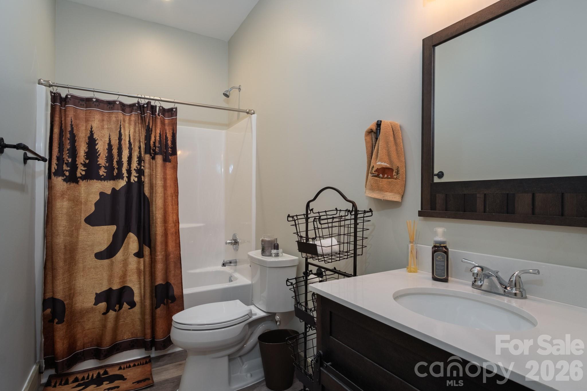 3171 East Fork Road Brevard, NC 28712 - Photo 45 of 48