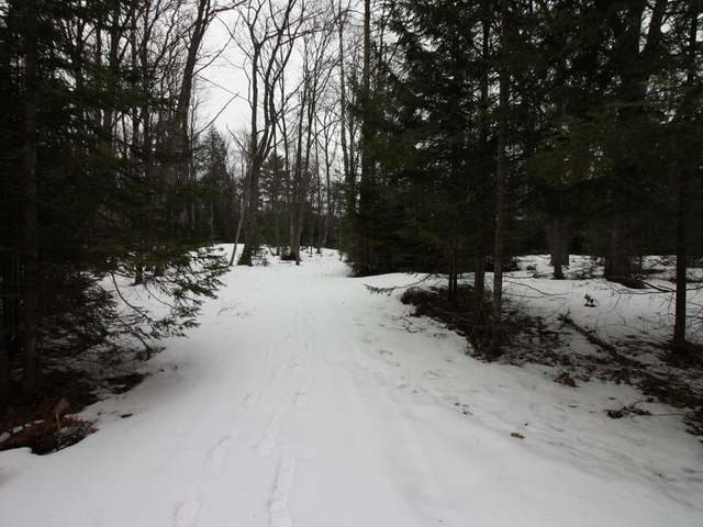 6544 Anderson Lake Road Land O'Lakes, WI 54540 - Photo 20 of 20 Gallery Image 20