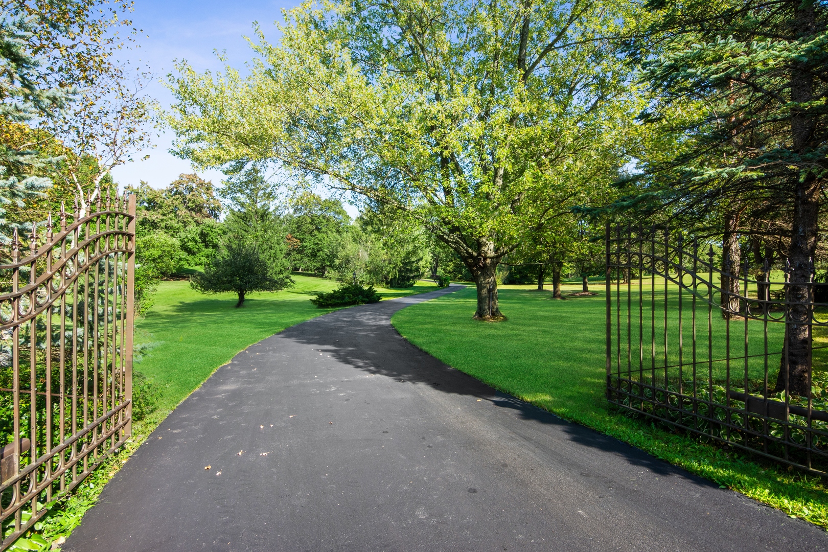 126 Brinker Road Barrington Hills, IL 60010 - Photo 31 of 31 a huge green field with lots of trees