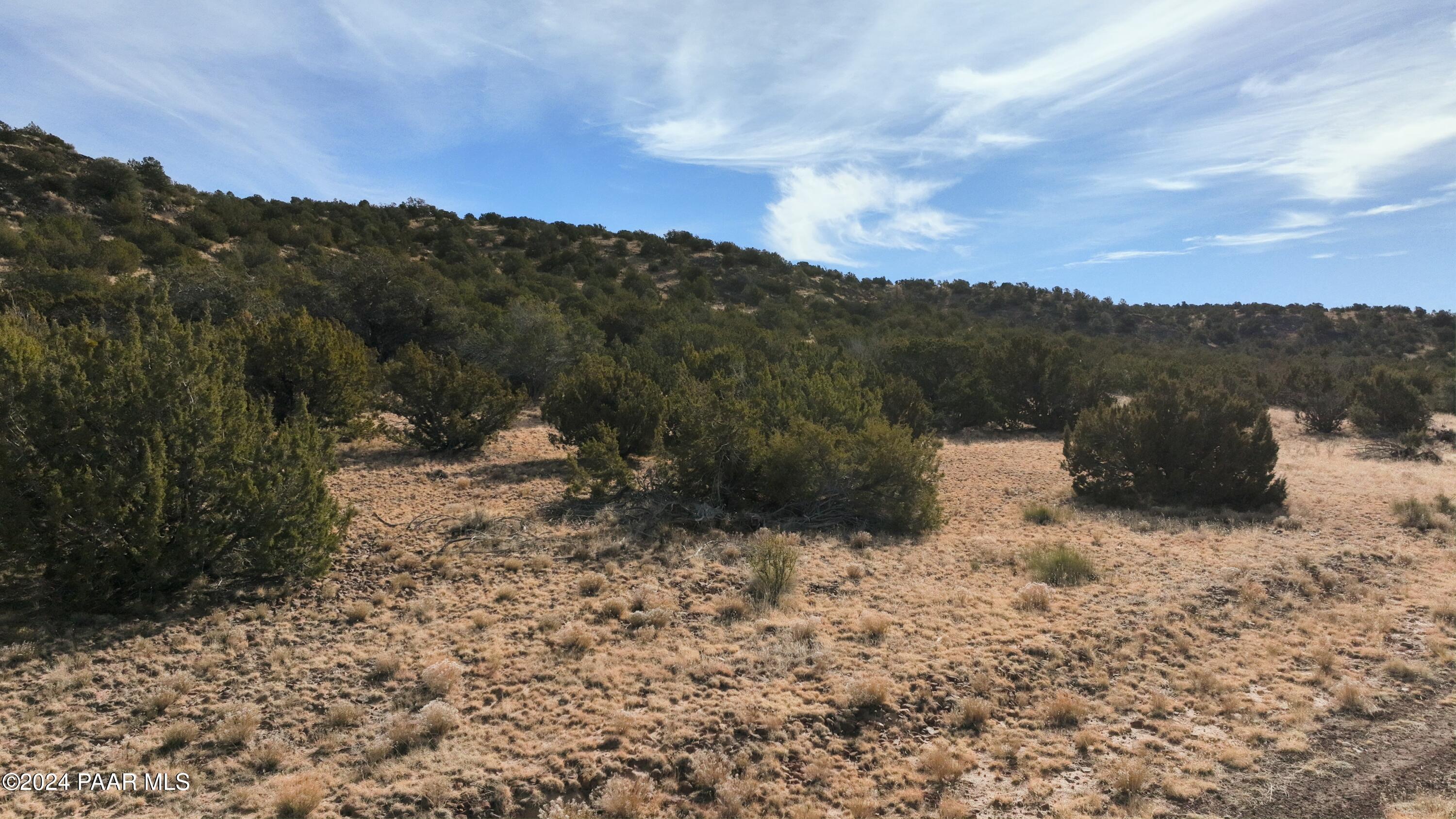 11646 Howard Mesa Loop Williams, AZ 86046 - Photo 1 of 27 a view of a house with a yard