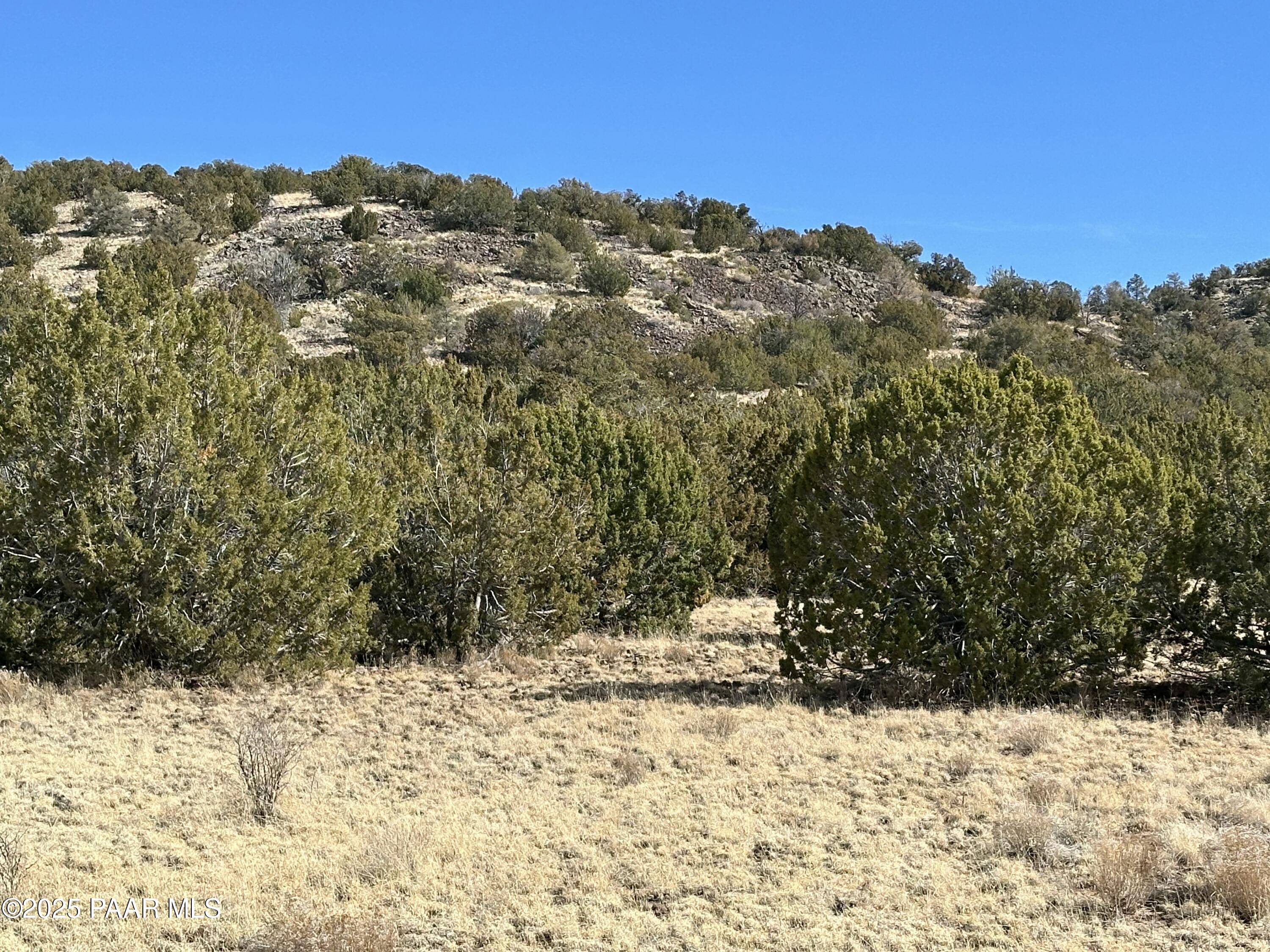 11646 Howard Mesa Loop Williams, AZ 86046 - Photo 23 of 27 a view of a yard