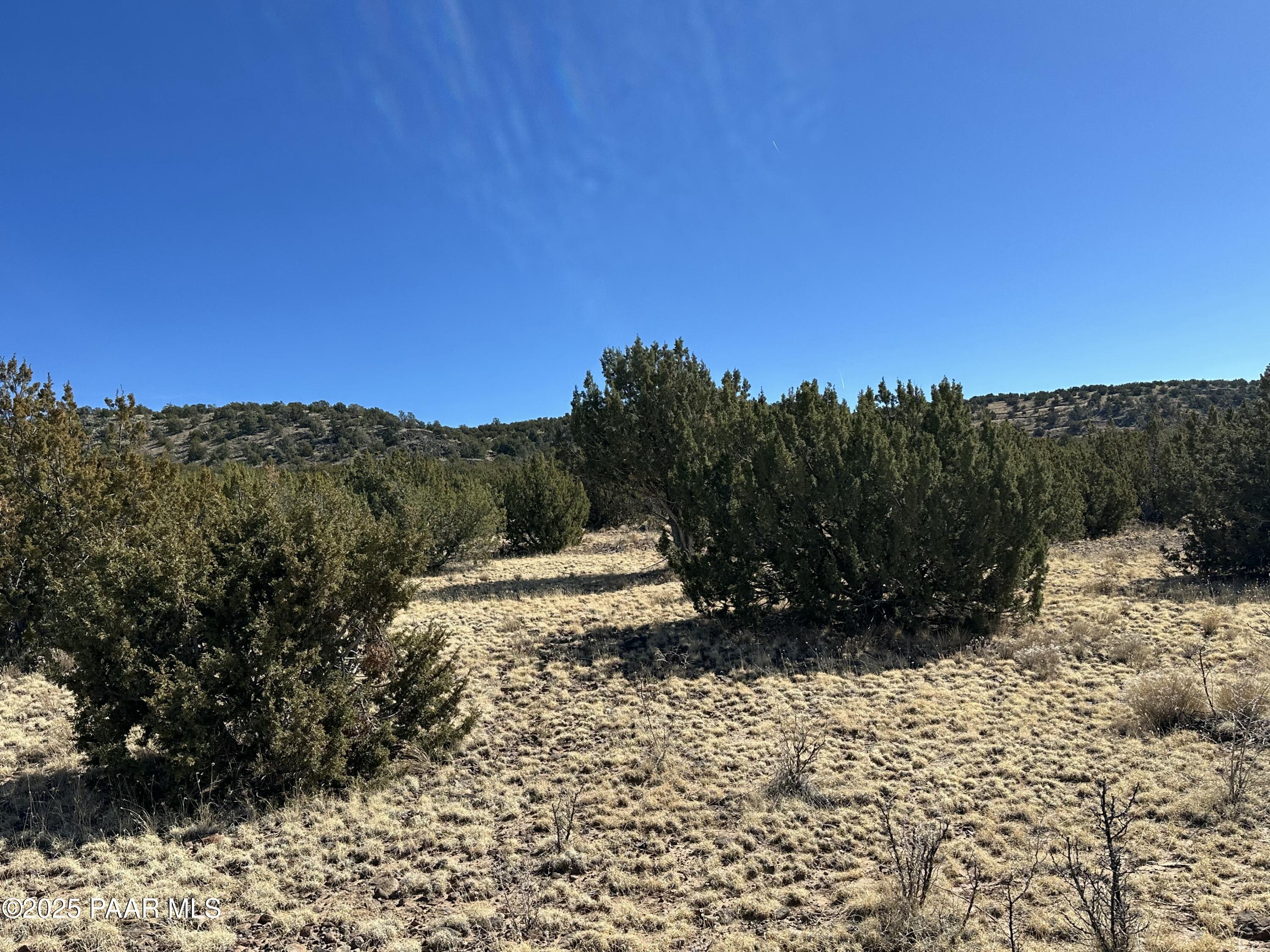 11646 Howard Mesa Loop Williams, AZ 86046 - Photo 24 of 27 a view of a yard
