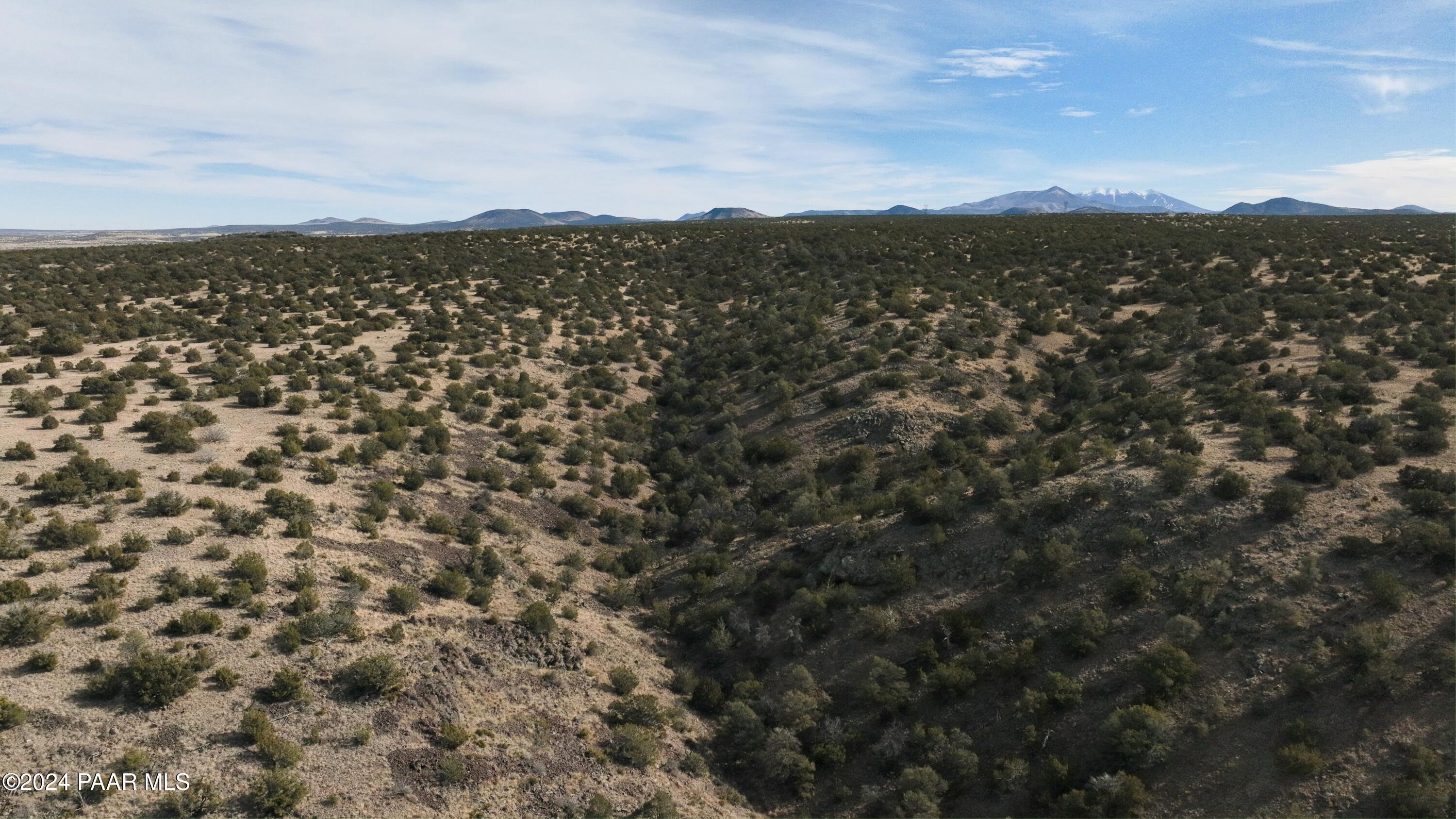 11646 Howard Mesa Loop Williams, AZ 86046 - Photo 5 of 27