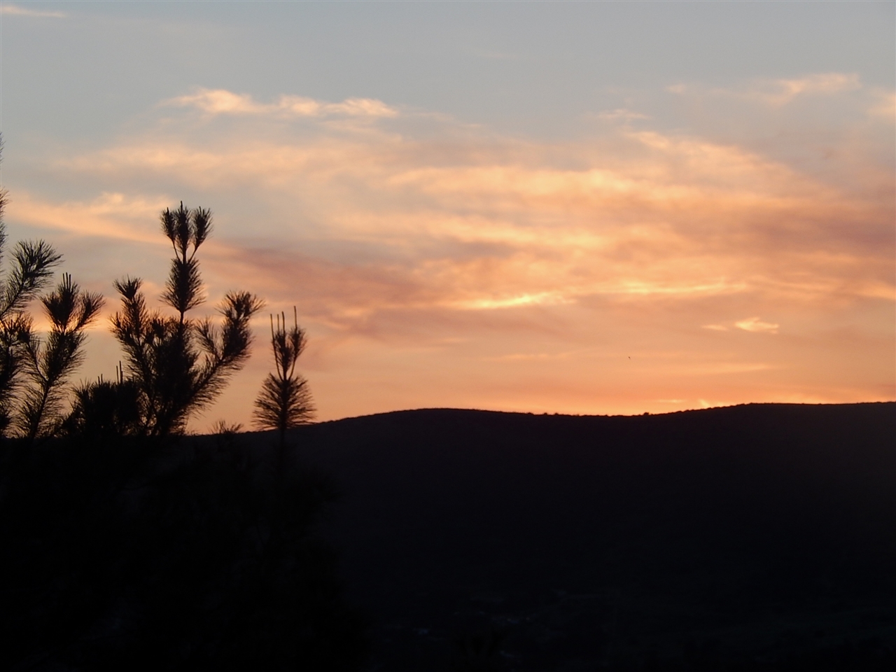 16428 Wikiup Road Ramona, CA 92065 - Photo 23 of 24