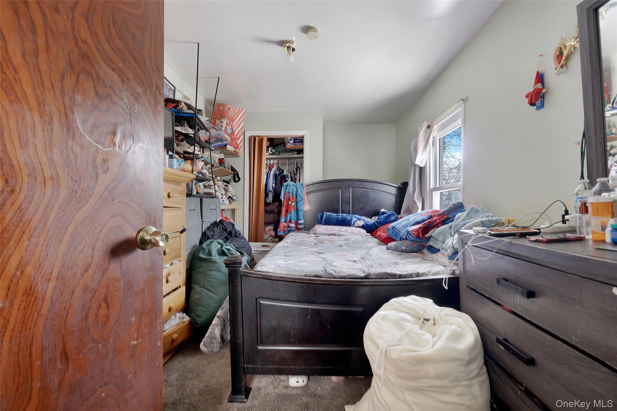 101 Baldwin Road Hempstead, NY 11550 - Photo 3 of 20 Carpeted bedroom featuring a walk in closet and a closet