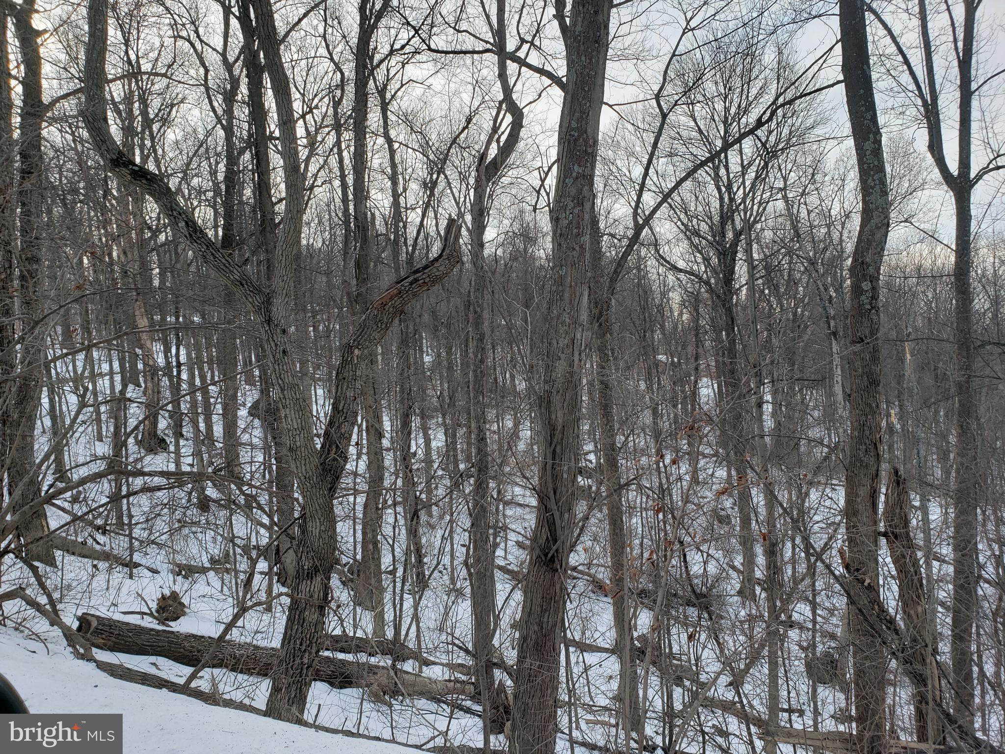 Walnut Tree Road Front Royal, VA 22630 - Photo 4 of 5 Winter View of hill up towards Walnut