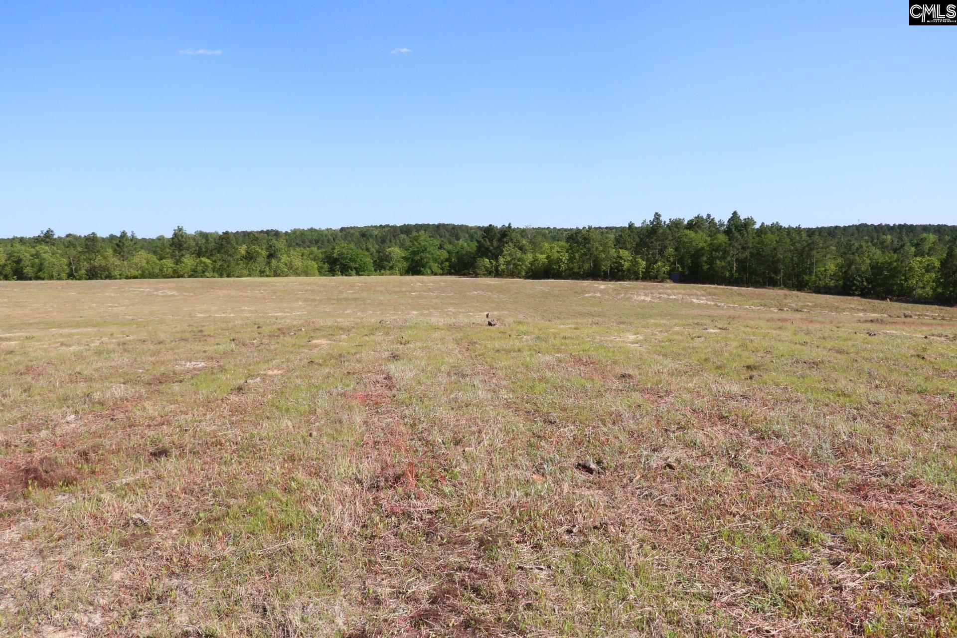 Tbd Browns Pond Road Wagener, SC 29164 - Photo 11 of 48