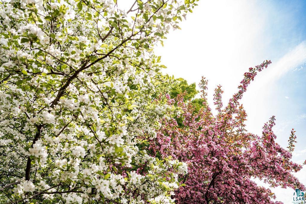 2670 Lindahl Road Duluth, MN 55810 - Photo 38 of 46