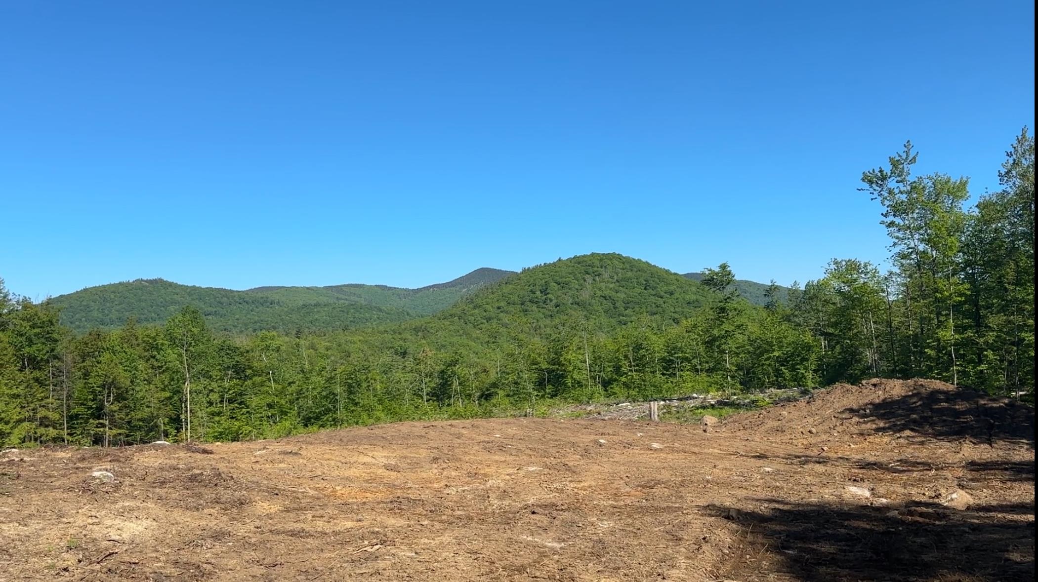 314 Ossipee Mountain Road Ossipee, NH 03814 - Photo 1 of 4