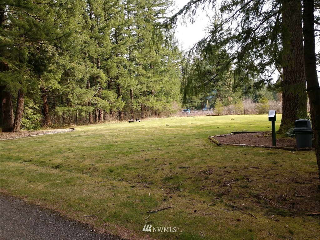 1032 Exit Road, Unit 32 Sumas, WA 98295 - Photo 10 of 12 a view of outdoor space with trees all around