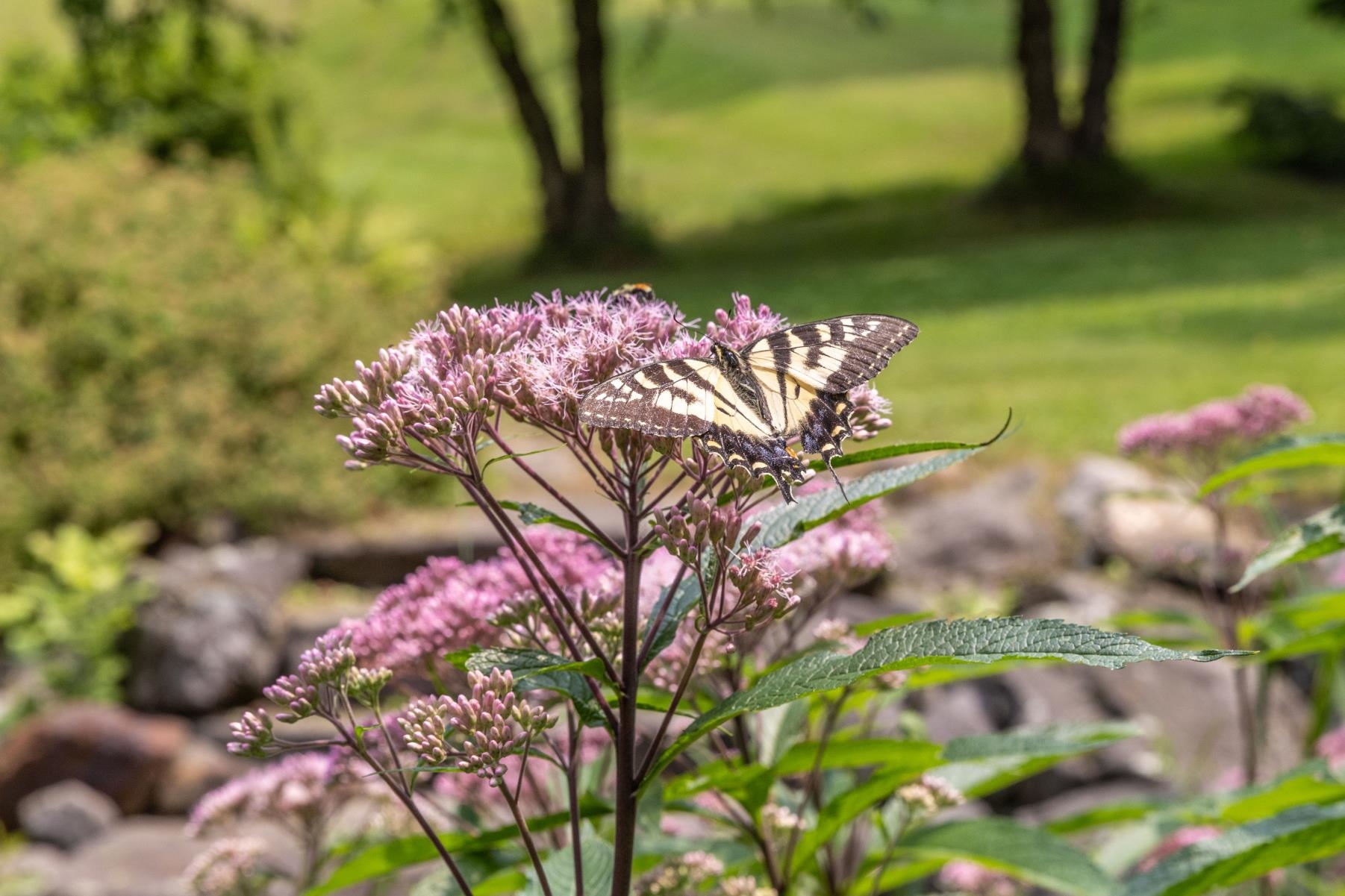 1425 Cobb Hill Road Moretown, VT 05676 - Photo 54 of 60 Gallery Image 54