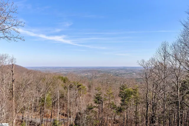 $1,250,000 | 5 Misty Vale Court, Landrum, SC 29356