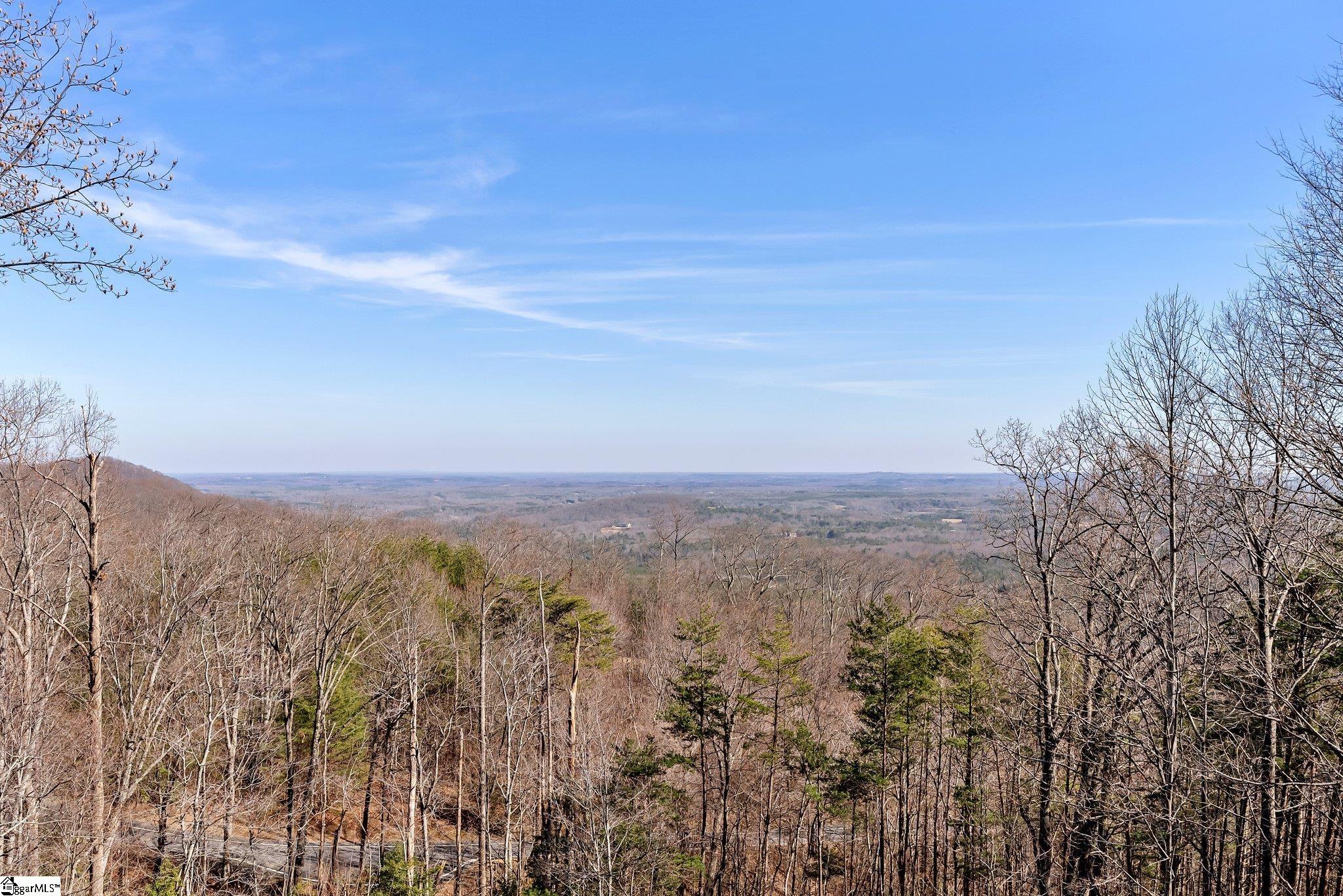 5 Misty Vale Court Landrum, SC 29356 - Photo 18 of 49