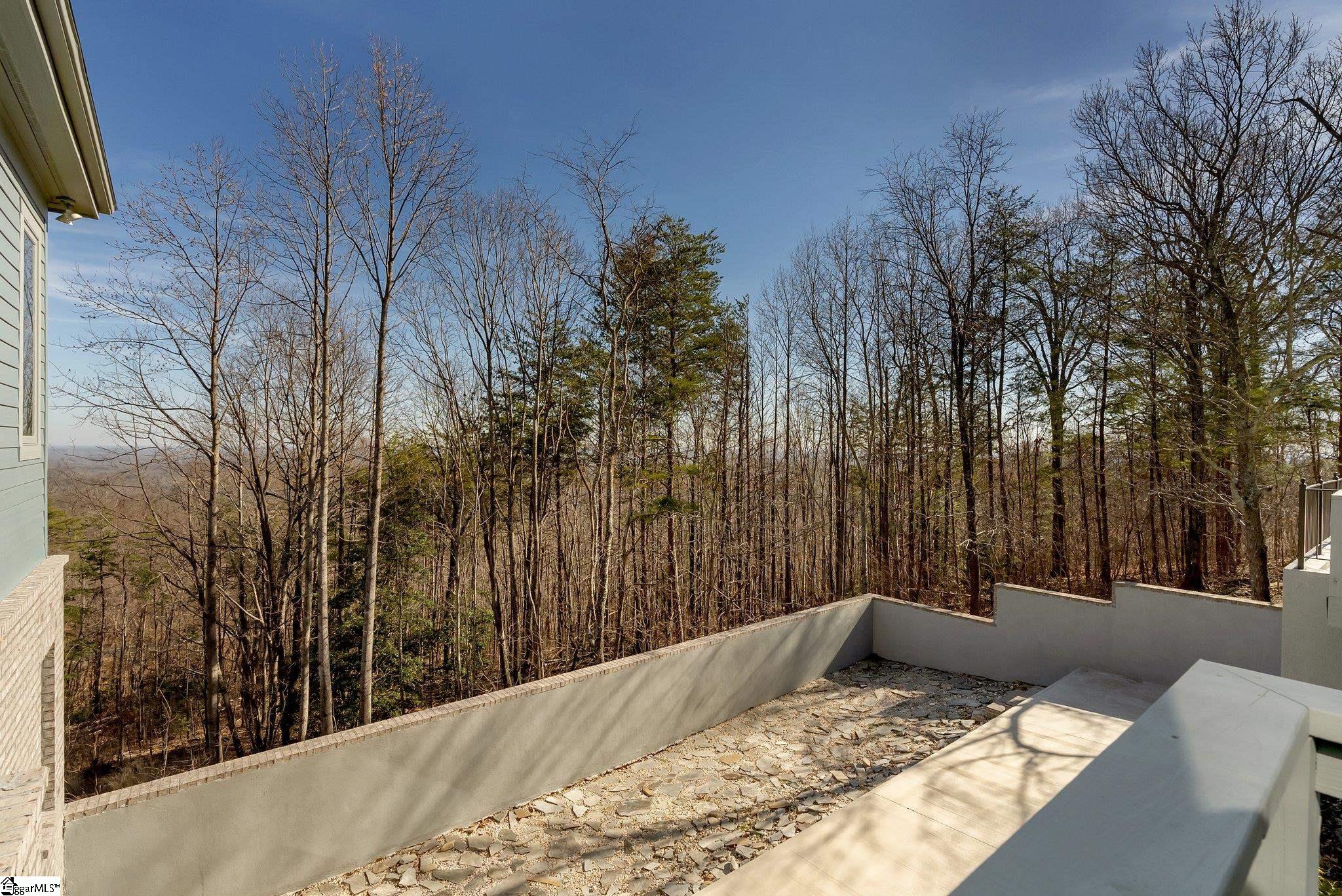 5 Misty Vale Court Landrum, SC 29356 - Photo 33 of 49