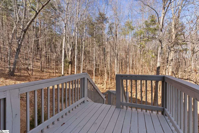 $1,250,000 | 5 Misty Vale Court, Landrum, SC 29356