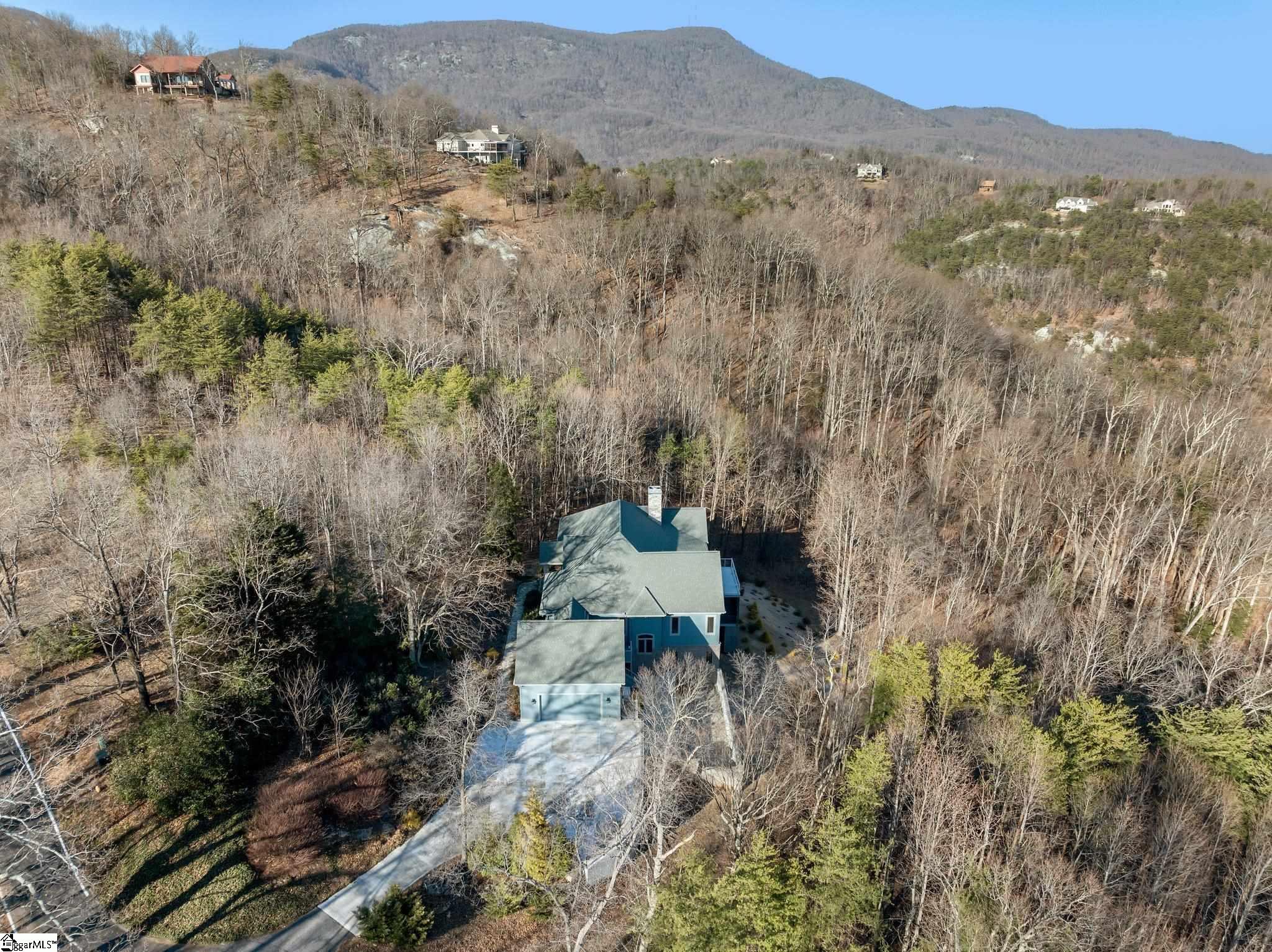 5 Misty Vale Court Landrum, SC 29356 - Photo 47 of 49