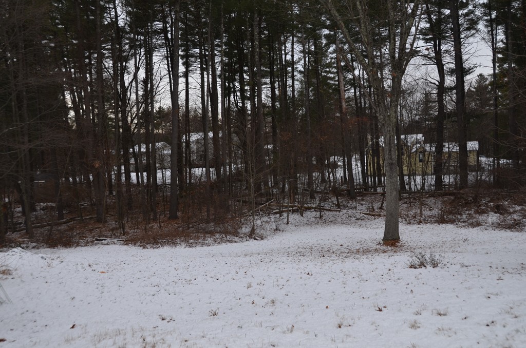 9 Bayberry Road Westford, MA 01886 - Photo 5 of 28 Gallery Image 5
