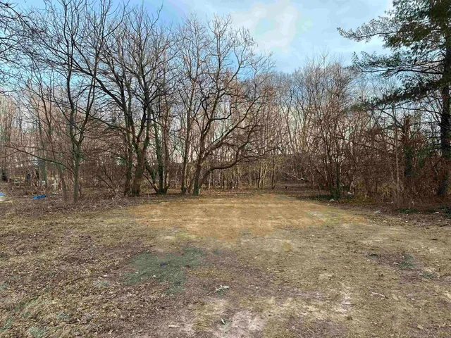 a view of a backyard with large trees
