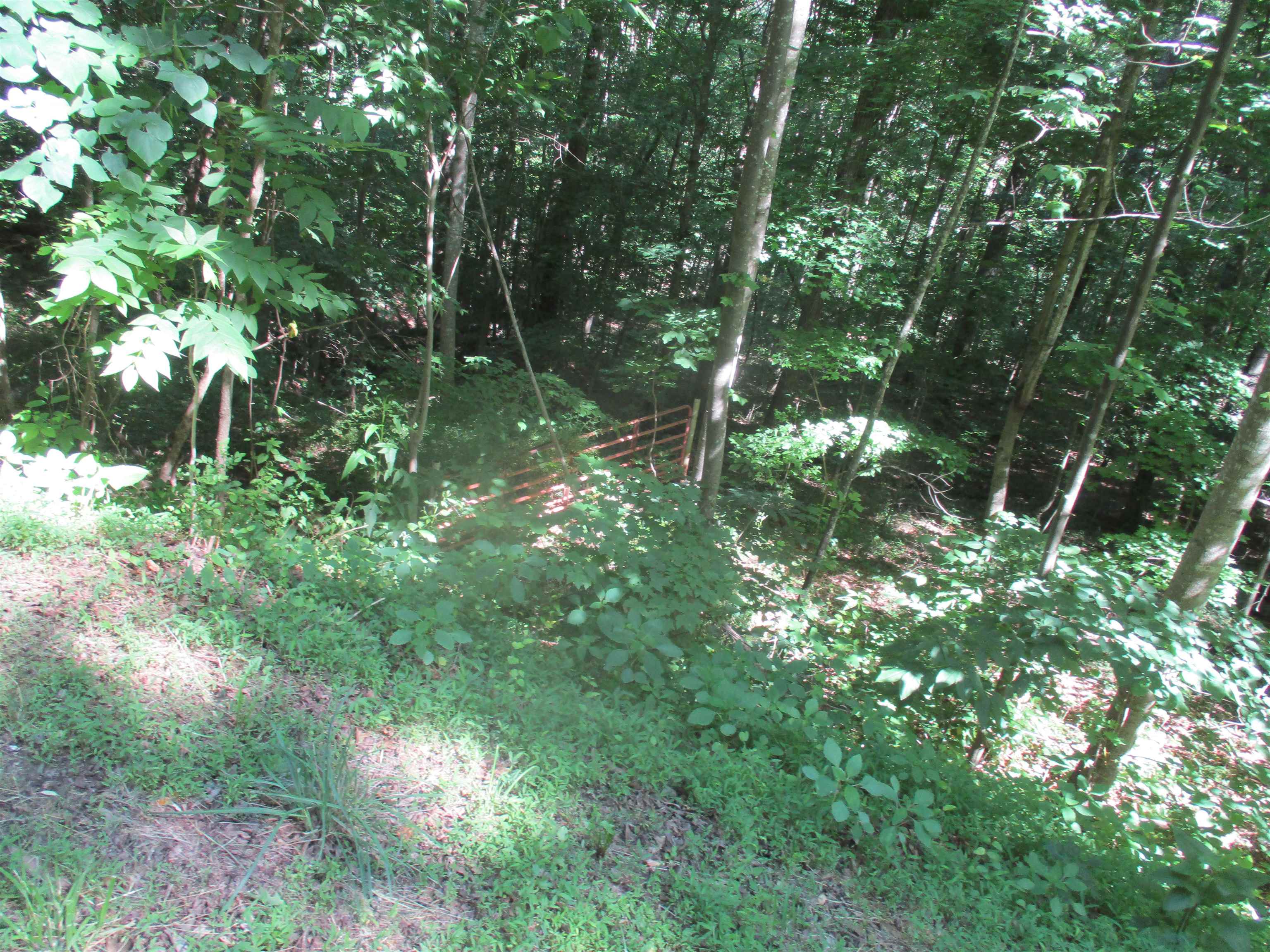0 State Rt 7 Greenup, KY 41144 - Photo 7 of 8
