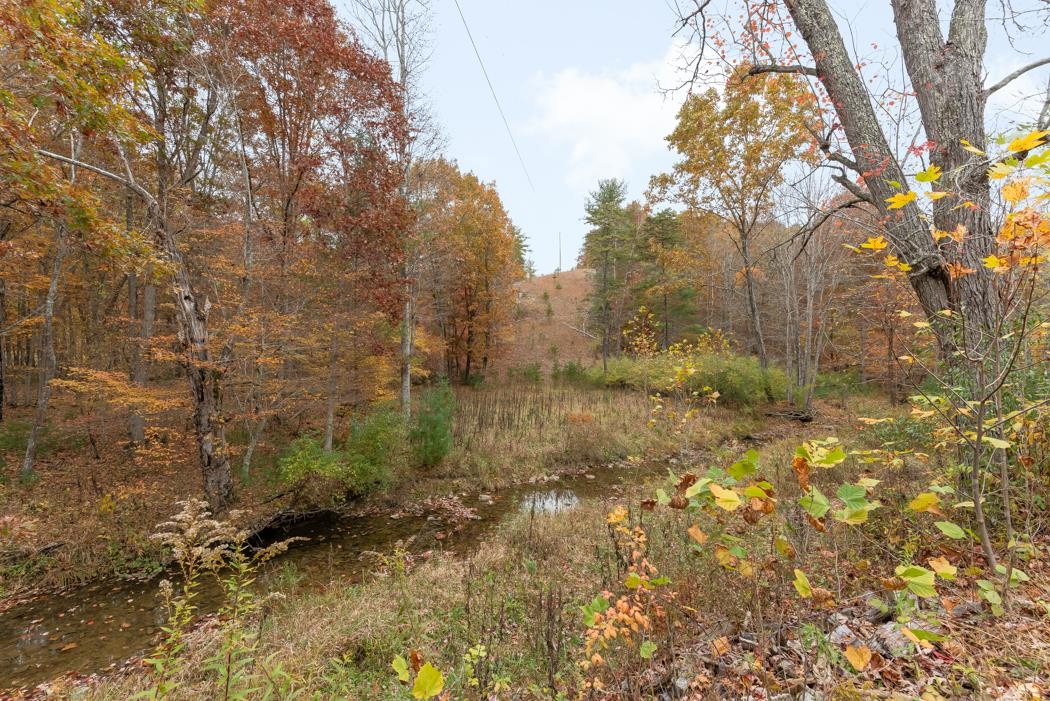 9591 Deerfield Road Millboro, VA 24460 - Photo 46 of 75 Gallery Image 46