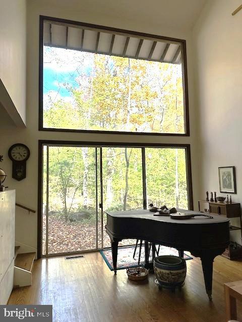 1851 Stuart Road West Princeton, NJ 08540 - Photo 4 of 18 Sunlit harmony in a serene woodland retreat.