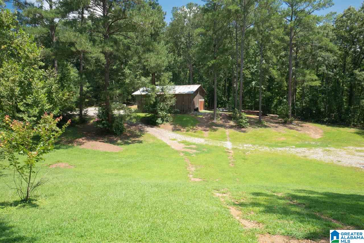 445 Highway 335 Chelsea, AL 35043 - Photo 33 of 36