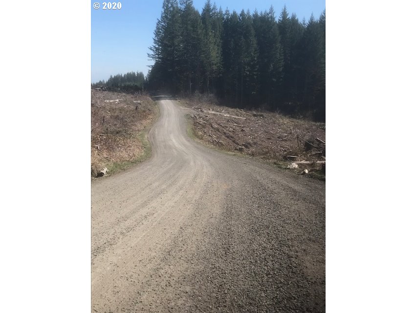 Northwest Smoke Ranch Road, Unit 20 Scappoose, OR 97056 - Photo 8 of 10 Gallery Image 8