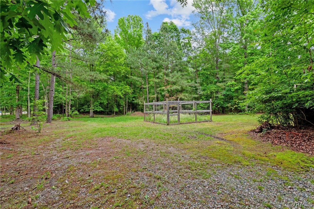 8601 Beaver Bridge Road Moseley, VA 23120 - Photo 33 of 42 a view of a yard with a tree