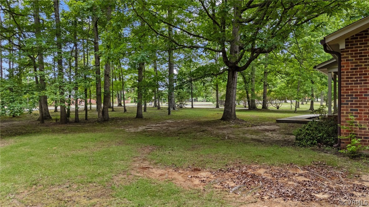 8601 Beaver Bridge Road Moseley, VA 23120 - Photo 37 of 42 a view of park space