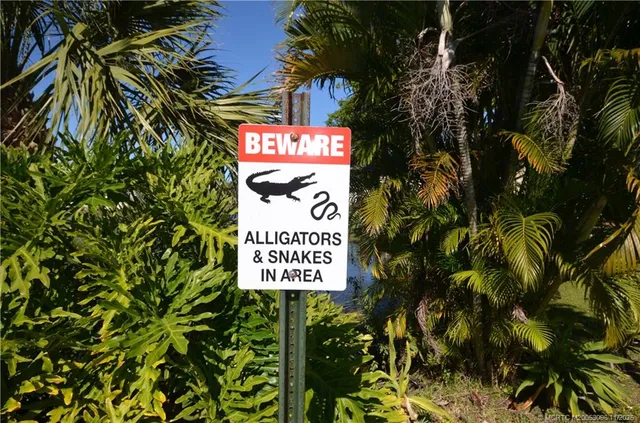 a sign that is on a tree