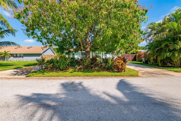 a view of a yard with plants and trees