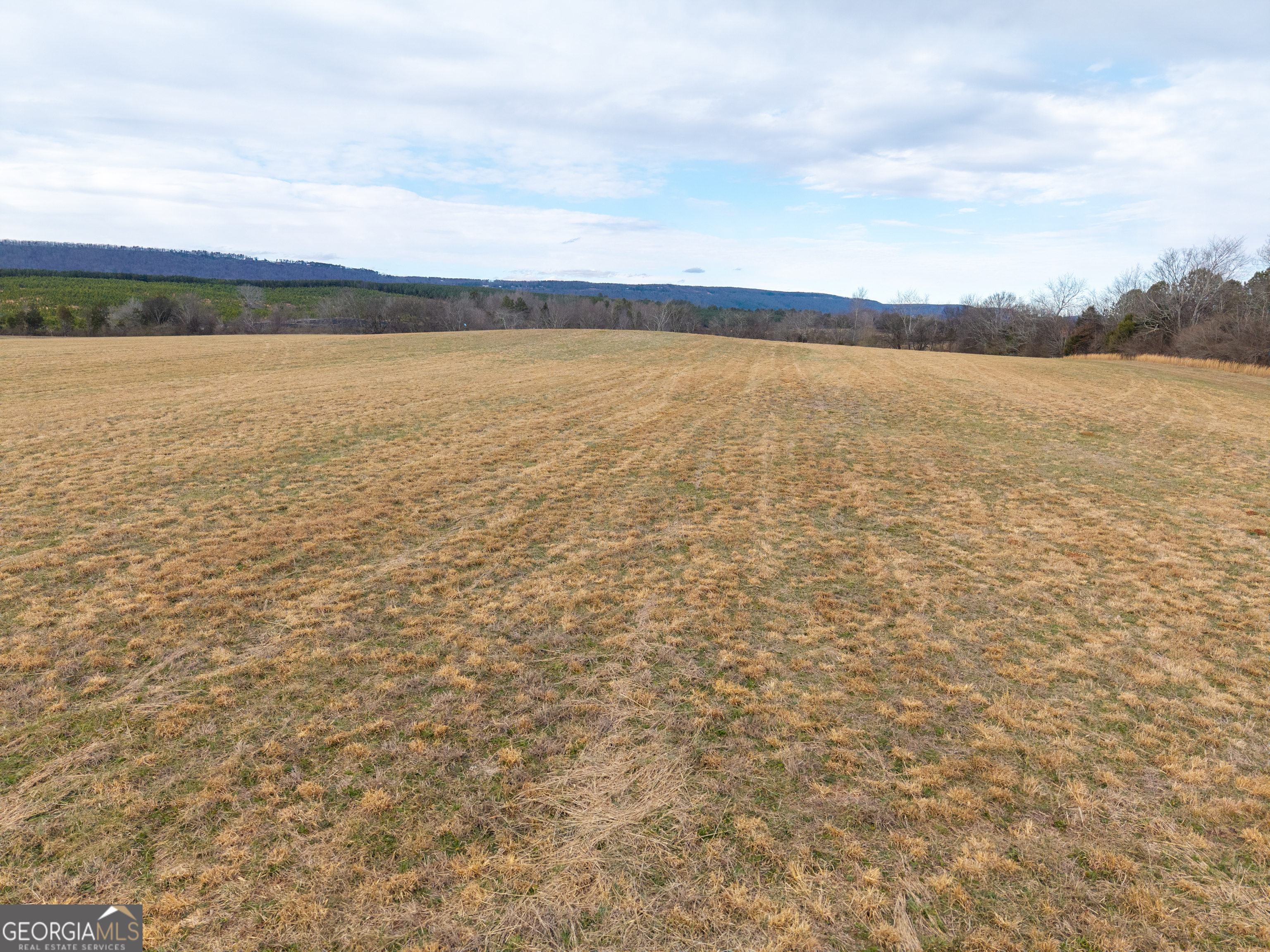 0 Old Highway 337 Menlo, GA 30731 - Photo 6 of 42 a view of an ocean and beach