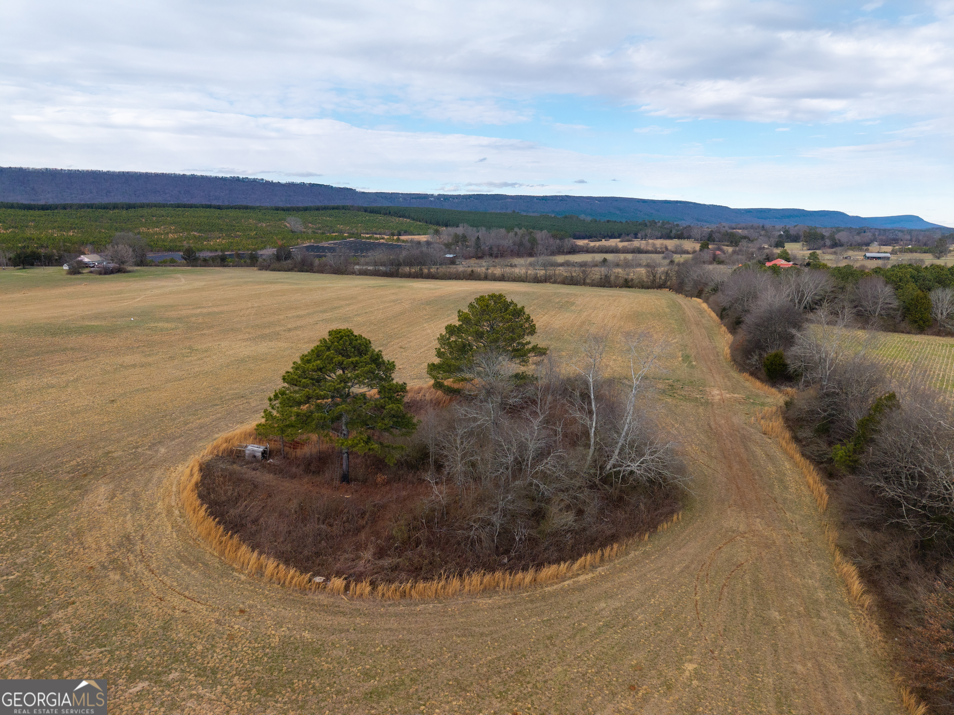 0 Old Highway 337 Menlo, GA 30731 - Photo 7 of 42 a view of a lake with houses in the back